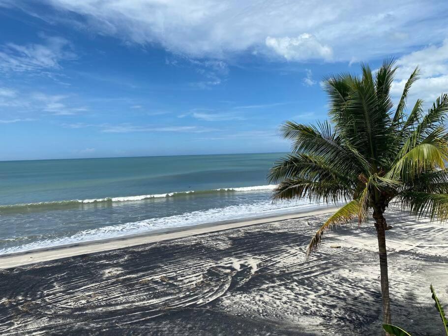 Coronado Beachfront Tropical Home! Playa Coronado Zewnętrze zdjęcie
