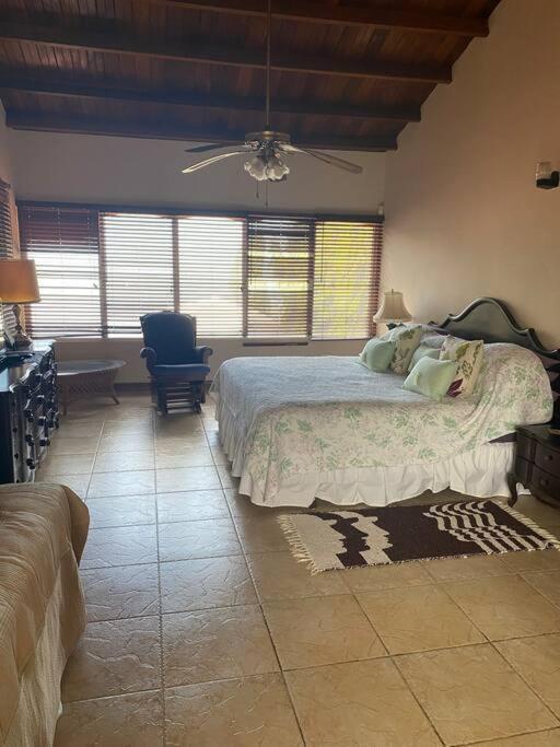 Coronado Beachfront Tropical Home! Playa Coronado Zewnętrze zdjęcie
